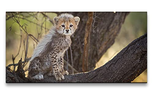 Paul Sinus Leinwandbild 120x60cm Kleiner Gepard auf Baum Afrika Süß Kätzchen von Paul Sinus