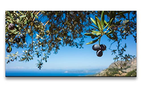 Paul Sinus Leinwandbild 120x60cm Mittelmeer Sommer Olivenbaum Oliven Italien von Paul Sinus