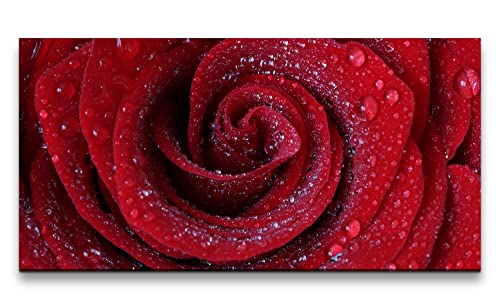 Paul Sinus Leinwandbild 120x60cm Rote Rose Blüte Romantisch Liebe Leidenschaft Wassertropfen von Paul Sinus