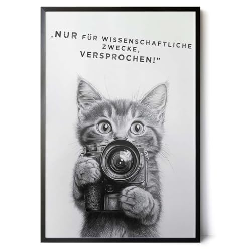 Paul Sinus Poster/Leinwandbild/Rahmenoption Lustiges Katzenbild – Witzige Klo-Deko fürs Gäste-WC – Perfekt für Humorvolle Paul Sinus Poster/Leinwandbild/Rahmenoption Lustiges Katzenbild – Witzige Klo-Deko fürs Gäste-WC – Perfekt für Humorvolle von Paul Sinus