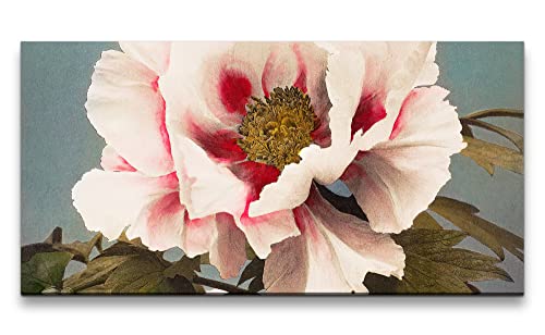 Paul Sinus Remaster 120x60cm Ogawa Kazumasa berühmte Fotografie Pfingstrose Blume Blüte Frühling von Paul Sinus