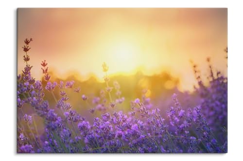 Paul Sinus Wandbild 100x70cm – Blühender Lavendel im Abendlicht – Harmonie, Natur, Entspannung, Blütenmeer, Lavendelfeld von Paul Sinus