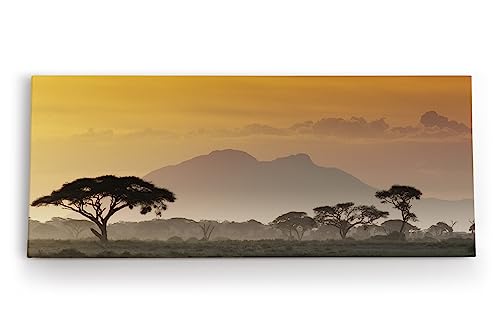Paul Sinus Wandbild 120x50cm Afrika Mount Kenya Burkea Bäume Wildnis Abenddämmerung von Paul Sinus
