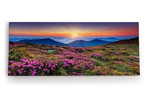 Paul Sinus Wandbild 120x50cm Alpen Berge Gebirge Bergwiese Wiese Natur Wildblumen von Paul Sinus