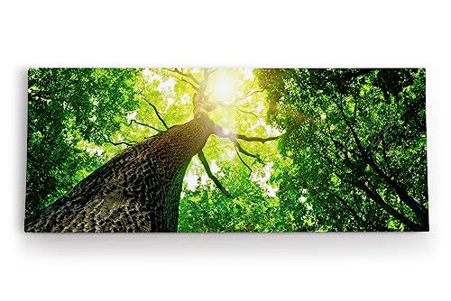 Paul Sinus Wandbild 120x50cm Baum Sonnenstrahlen Baumkrone Grün Natur von Paul Sinus