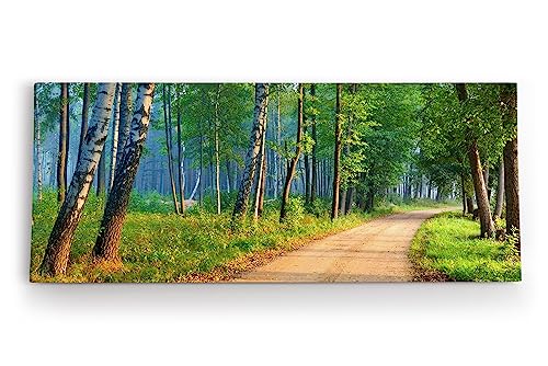 Paul Sinus Wandbild 120x50cm Birkenwald Wald Birken Natur Bäume Grün von Paul Sinus
