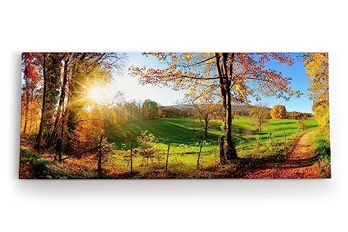 Paul Sinus Wandbild 120x50cm Deutsche Landschaft Wiese Bäume Sonnenschein Herbst von Paul Sinus