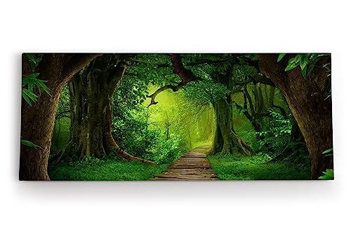 Paul Sinus Wandbild 120x50cm Grüner Wald Märchenhaft Bäume Holzweg Märchenwald von Paul Sinus