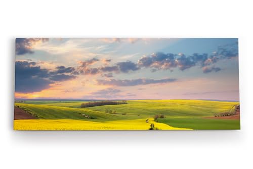 Paul Sinus Wandbild 120x50cm Landschaft Felder Himmel Natur Gelb Horizont Paul Sinus Wandbild 120x50cm Landschaft Felder Himmel Natur Gelb Horizont von Paul Sinus