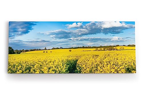 Paul Sinus Wandbild 120x50cm Rapsfeld Raps Landschaft Gelb Himmel Sommer von Paul Sinus