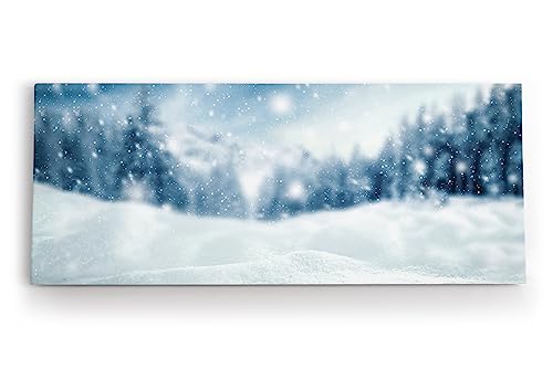 Paul Sinus Wandbild 120x50cm Schnee Winter Weiß Kunstvoll Schneeflocken von Paul Sinus