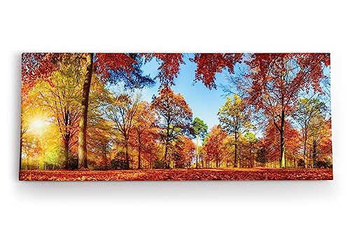 Paul Sinus Wandbild 120x50cm Wald Bäume Herbst Sonnenschein Herbstblätter Natur von Paul Sinus
