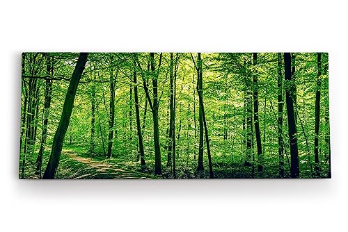 Paul Sinus Wandbild 120x50cm Wald Bäume Natur Grün Waldweg Sonnenschein von Paul Sinus