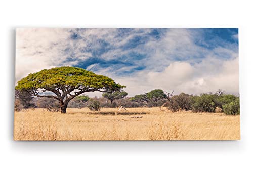 Paul Sinus Wandbild 120x60cm Afrikanische Landschaft Burkea Africana Bäume Sonnenuntergang von Paul Sinus