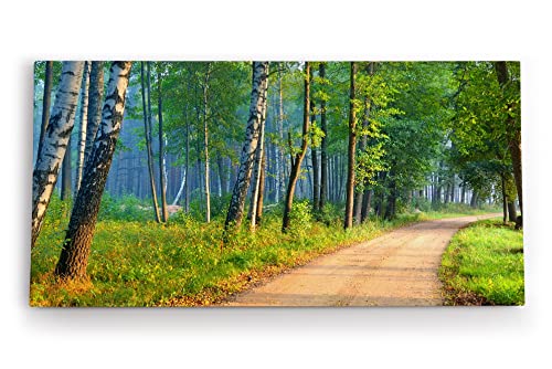 Paul Sinus Wandbild 120x60cm Birkenwald Wald Birken Natur Bäume Grün von Paul Sinus