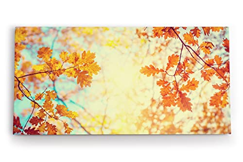 Paul Sinus Wandbild 120x60cm Eichenblatt Blatt Herbst Herbstblätter Baum Sonnenschein von Paul Sinus