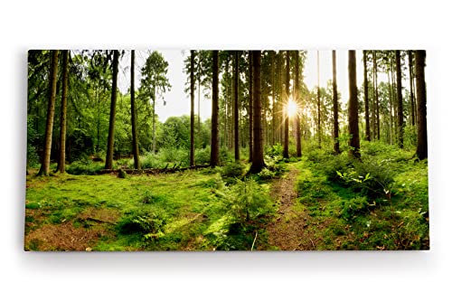 Paul Sinus Wandbild 120x60cm Fichtenwald Wald Grün Sonnenstrahlen Natur Bäume von Paul Sinus