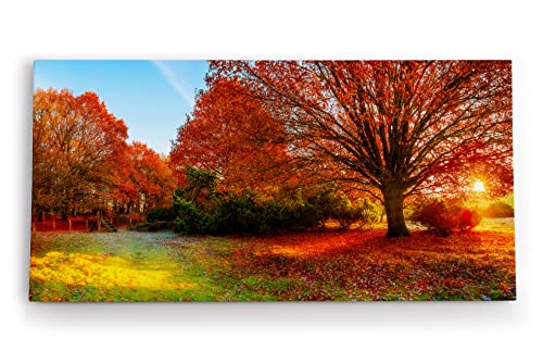 Paul Sinus Wandbild 120x60cm Großer Baum Feld Sonnenuntergang Herbst Laub von Paul Sinus