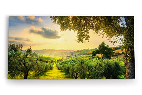 Paul Sinus Wandbild 120x60cm Italien Toskana Landschaft Bäume Grün Sonnenuntergang von Paul Sinus