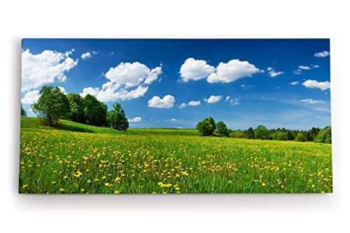 Paul Sinus Wandbild 120x60cm Landschaftsbild Wiese Bäume Natur Sommer blauer Himmel von Paul Sinus