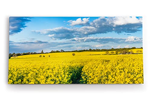 Paul Sinus Wandbild 120x60cm Rapsfeld Raps Landschaft Gelb Himmel Sommer von Paul Sinus
