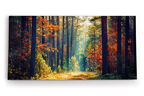 Paul Sinus Wandbild 120x60cm Wald Waldweg Bäume Sonnenstrahl Natur Herbst von Paul Sinus