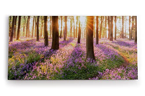 Paul Sinus Wandbild 120x60cm Wald Wildblumen Blumen Waldpfad Sonnenschein Bäume von Paul Sinus