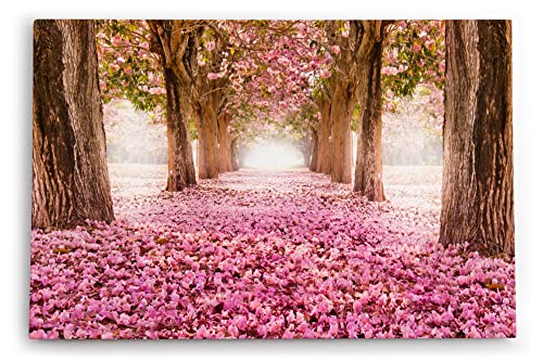 Paul Sinus Wandbild 120x80cm Baumallee Baumblüten Blüten Frühling Allee Rosa von Paul Sinus