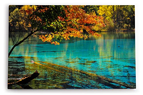 Paul Sinus Wandbild 120x80cm Bergsee Natur Wasser Bäume See Sonnenstrahlen Türkis Paul Sinus Wandbild 120x80cm Bergsee Natur Wasser Bäume See Sonnenstrahlen Türkis von Paul Sinus