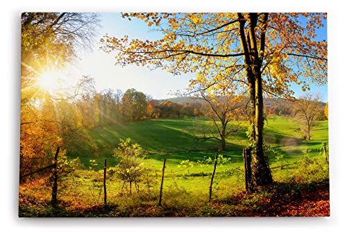 Paul Sinus Wandbild 120x80cm Deutsche Landschaft Wiese Bäume Sonnenschein Herbst von Paul Sinus