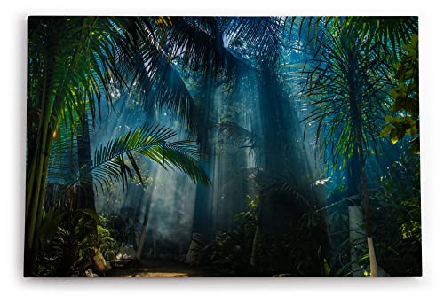 Paul Sinus Wandbild 120x80cm Dschungel Palmen Tropisch Lichtstrahlen Grün Bäume von Paul Sinus