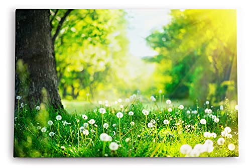 Paul Sinus Wandbild 120x80cm Grüne Wiese Pusteblumen Baum Sonnenschein Sommer von Paul Sinus