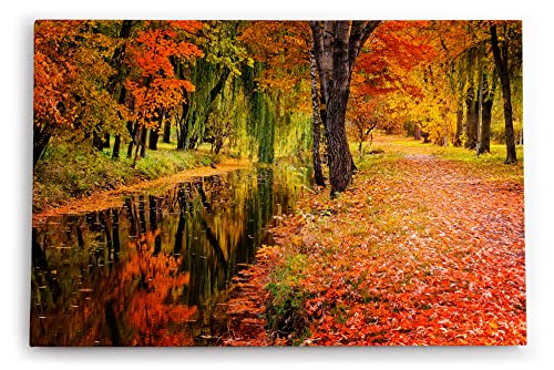 Paul Sinus Wandbild 120x80cm Herbst Herbstblätter Bach Rot Natur Laub von Paul Sinus