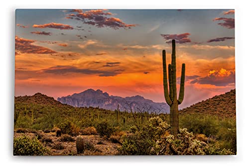 Paul Sinus Wandbild 120x80cm Mexikanische Landschaft Kaktus roter Himmel Sonnenuntergang von Paul Sinus