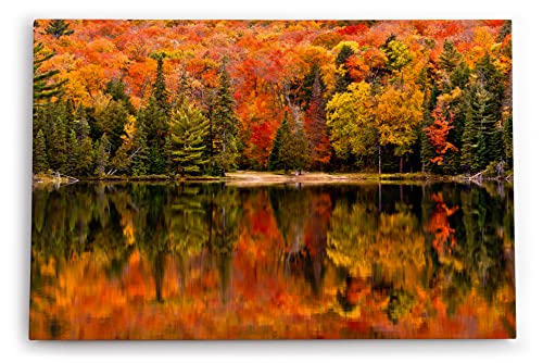 Paul Sinus Wandbild 120x80cm See Herbst Bäume Rot Wasserspieglung Natur von Paul Sinus