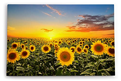 Paul Sinus Wandbild 120x80cm Sonnenblumen Blumenfeld Sonnenblumenfeld Sonne Gelb von Paul Sinus