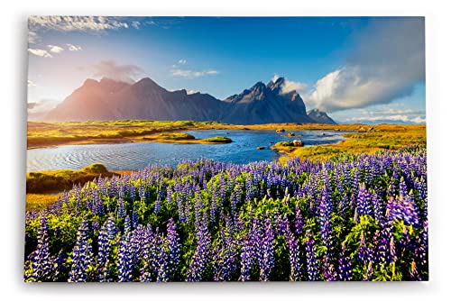Paul Sinus Wandbild 120x80cm Stokksnes Inland Berge Landschaft Blumen See Natur von Paul Sinus