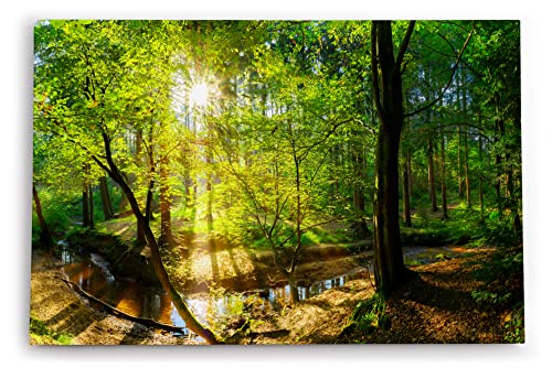 Paul Sinus Wandbild 120x80cm Wald Bäume Bach Sonnenstrahlen Natur Grün von Paul Sinus