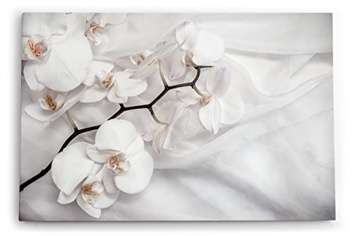 Paul Sinus Wandbild 120x80cm Weiß Orchidee Blumen Blüten Hell Fotokunst von Paul Sinus