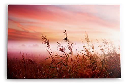 Paul Sinus Wandbild 120x80cm Weizenfeld Morgenröte Natur Feld Rosa Himmel von Paul Sinus