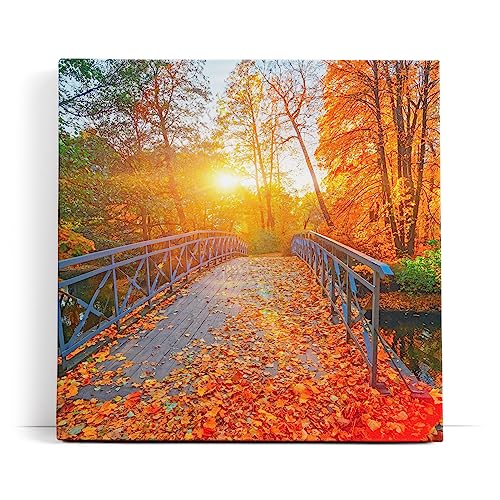 Paul Sinus Wandbild 80x80cm Herbstblätter Herbst Holzbrücke Bach Sonnenschein von Paul Sinus