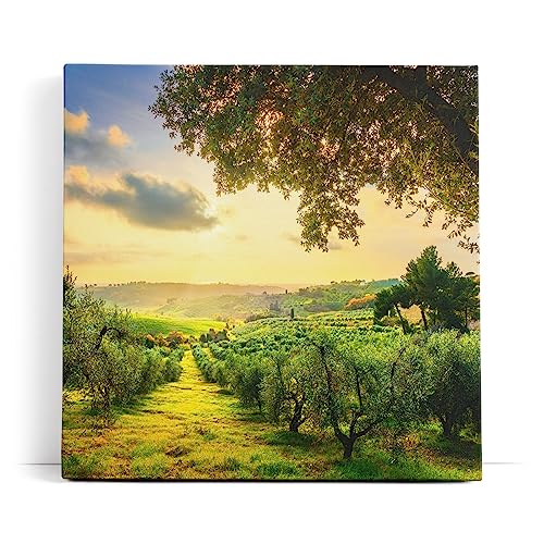 Paul Sinus Wandbild 80x80cm Italien Toskana Landschaft Bäume Grün Sonnenuntergang von Paul Sinus