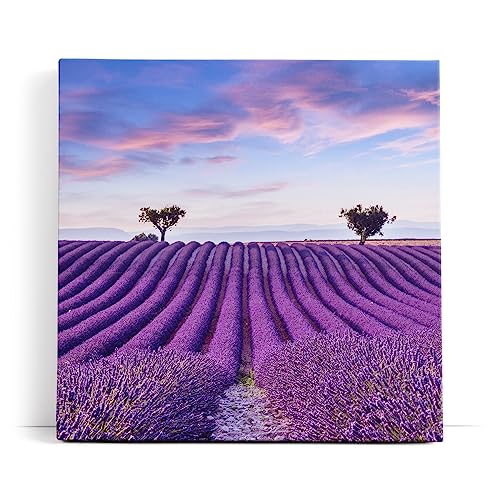 Paul Sinus Wandbild 80x80cm Lavendelfeld Lavendel Violett Landschaft Blumenfeld von Paul Sinus