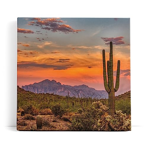 Paul Sinus Wandbild 80x80cm Mexikanische Landschaft Kaktus roter Himmel Sonnenuntergang von Paul Sinus