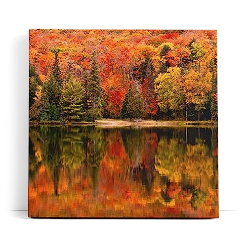 Paul Sinus Wandbild 80x80cm See Herbst Bäume Rot Wasserspieglung Natur von Paul Sinus