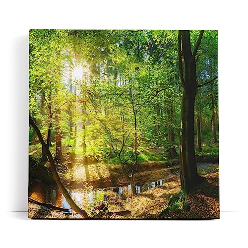 Paul Sinus Wandbild 80x80cm Wald Bäume Bach Sonnenstrahlen Natur Grün von Paul Sinus