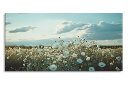 Paul Sinus Wandbild auf Leinwand in 120x60cm Blumenwiese Natur Sommer Himmel Weite Entspannung Leinwandbild Paul Sinus Wandbild auf Leinwand in 120x60cm Blumenwiese Natur Sommer Himmel Weite Entspannung Leinwandbild von Paul Sinus