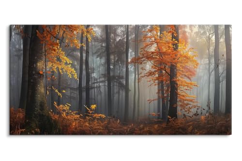 Paul Sinus Wandbild auf Leinwand in 120x60cm Herbst Nebel Wald Morgenlicht Blätter Natur Stimmung Leinwandbild von Paul Sinus