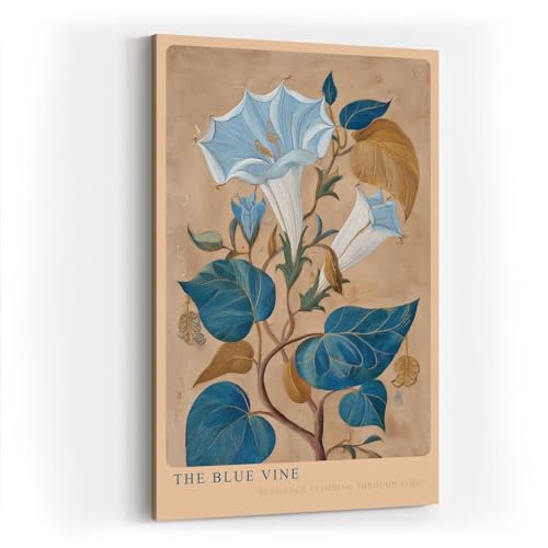 Paul Sinus Wandbild in 40x60cm The Blue Vine Botanische Illustration einer blauen Kletterpflanze mit feinen Blüten und Blättern von Paul Sinus