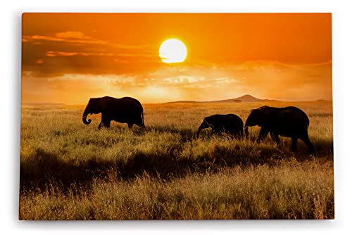 Paul Sinus Wandbilder Deko Kunstdruck 90x60cm Elefanten Elefantenherde Afrika Natur Landschaft Sonne von Paul Sinus